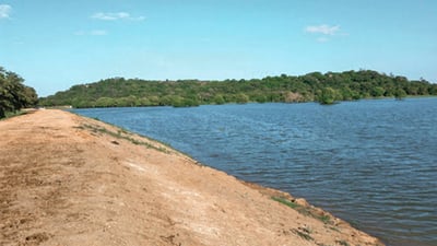 Yan Oya