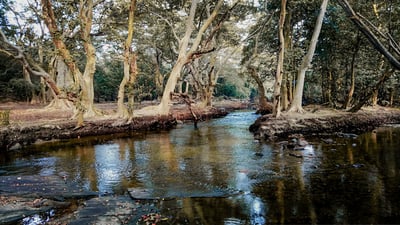 Kala Oya