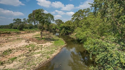 Malvathu River