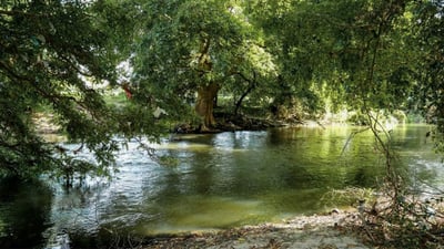 Malvathu River