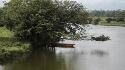 Gin Ganga