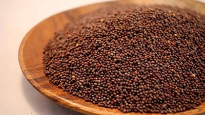 Mustard