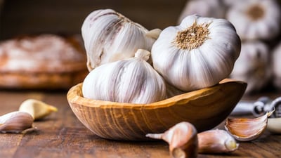 Garlic