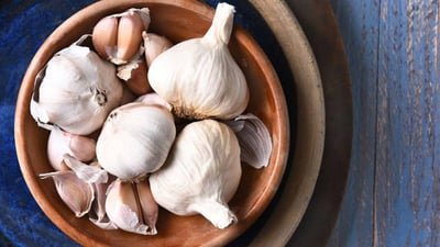 Garlic