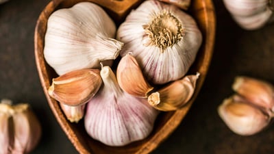 Garlic