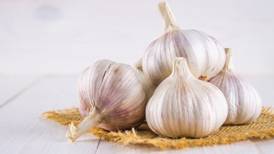 Garlic