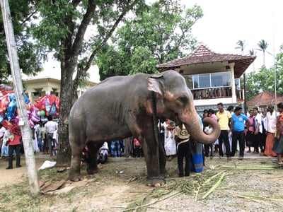 Mahiyangana