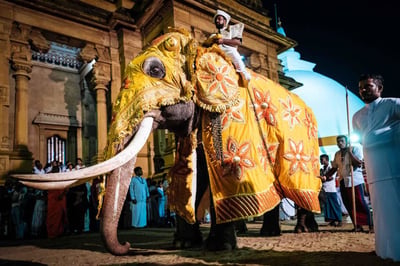 Duruthu Perahera
