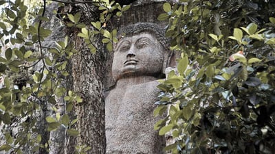 Dowa Raja Maha Viharaya