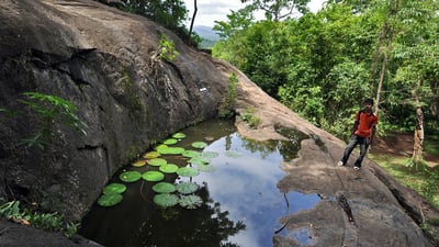Dambadeniya