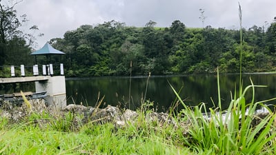Ambewela