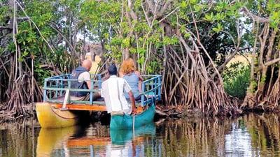 Urani River Safari