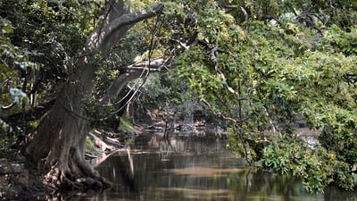 Manakanda