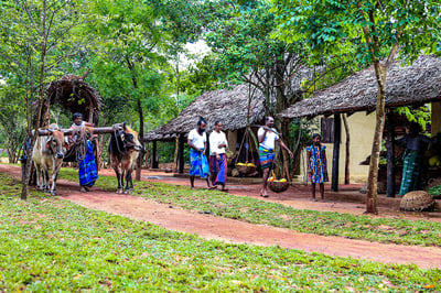 Village Tour