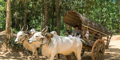 Village Tour