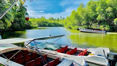 Madu River