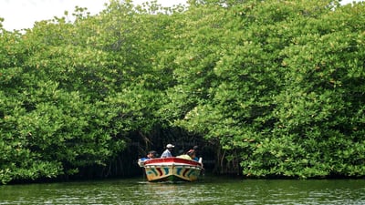 Madu River