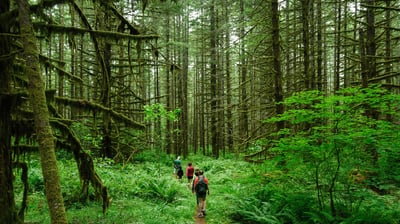 Eco Tourism