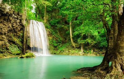 Eco Tourism