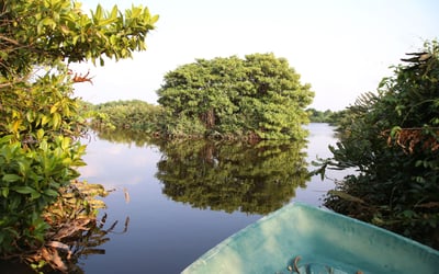 Eco Tourism