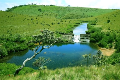 Eco Tourism