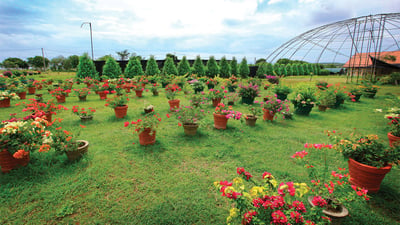 Botanical Gardens