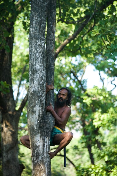 Indigenous People