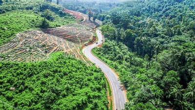 Veyangoda
