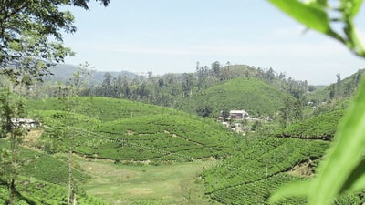 Kotagala
