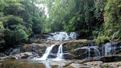 Horana