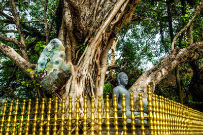 Yatagala Raja Maha Viharaya