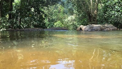 Ranmudu Ella Falls