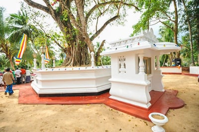 Sapugoda Sri Maha Viharaya