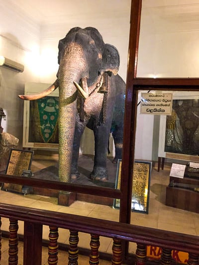 Raja Museum