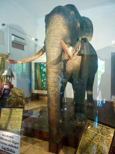 Raja Museum