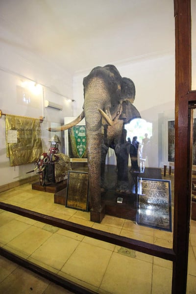 Raja Museum