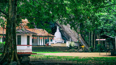 Pilikuththuwa Raja Maha Vihara