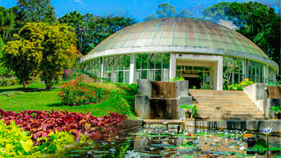 Peradeniya Royal Botanical Garden
