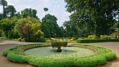 Peradeniya Royal Botanical Garden