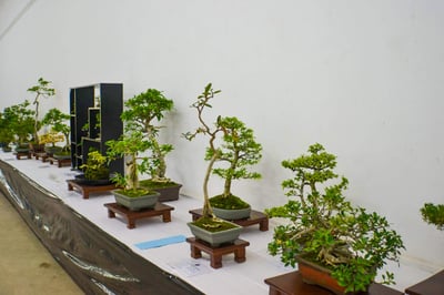National Art Gallery
