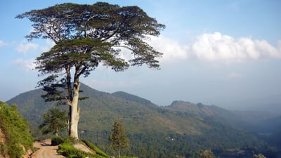 Namunukula