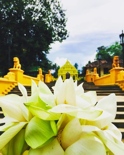 Muthiyanganaya