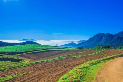 Moon Plain Nuwara Eliya