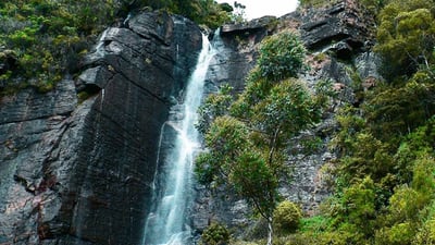 Lovers Leap Fall