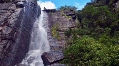 Lovers Leap Fall