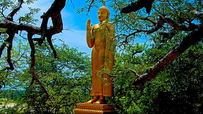 Lanka Pattuna