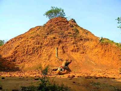 Lahugala Neelagiri Maha Seya
