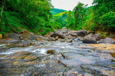 Kumari Ella Falls