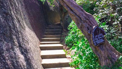 Kudumbigala Forest Hermitage