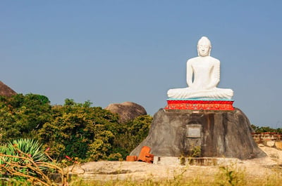 Kudumbigala Forest Hermitage
